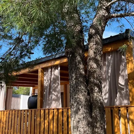 Casa vacanze Cozy Hidden Mobile With Terrace And Sea View